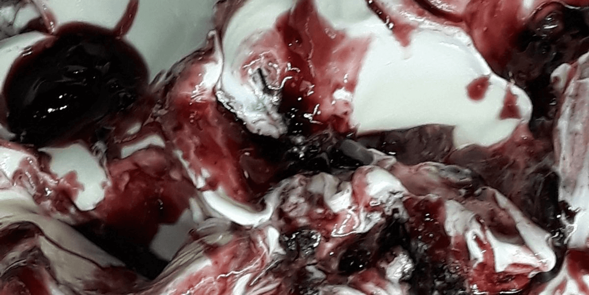 Cherry - La Bottega del Gelato | Authentic Italian Ice Cream Delivery in Monaco
