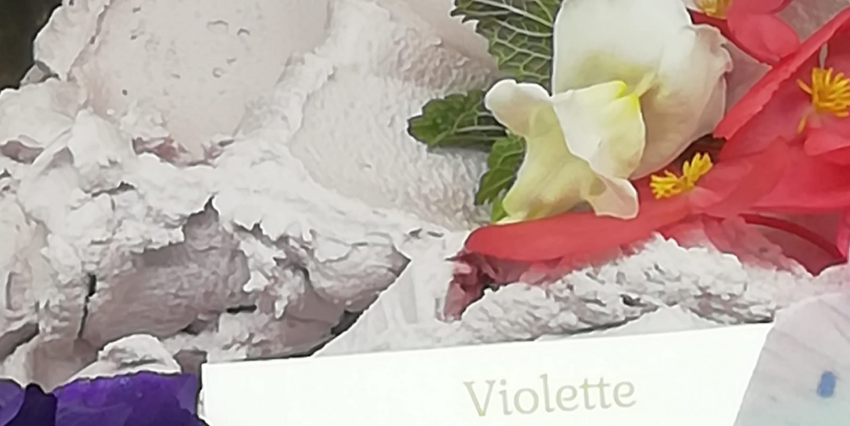 Violet - La Bottega del Gelato | Authentic Italian Ice Cream Delivery in Monaco